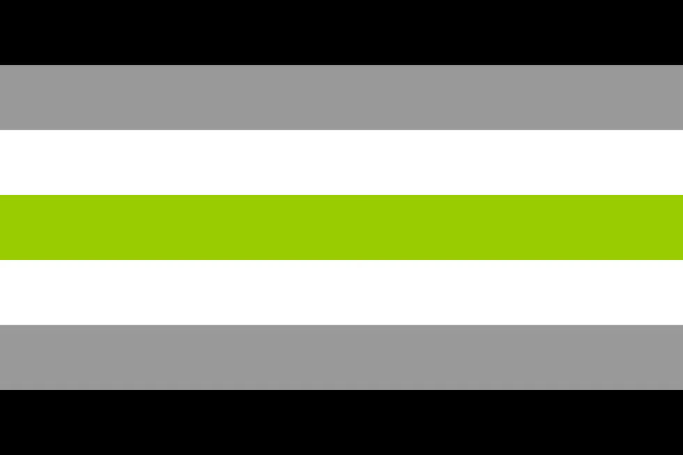 agender pride flag